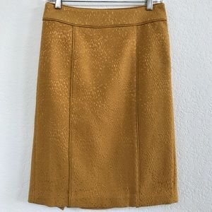 Banana Republic skirt
